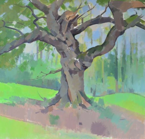 Large Oak at Silton, R. A. Brooks, 2019 (102x102)